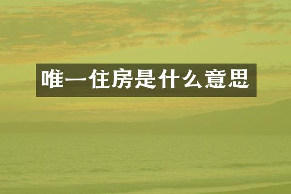 唯一住房是什么意思