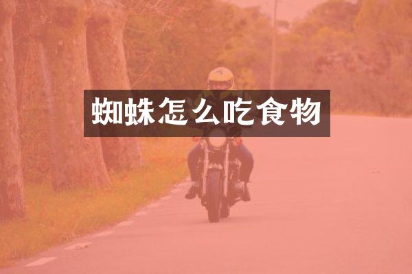 蜘蛛怎么吃食物