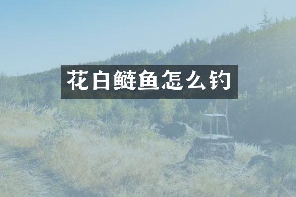 花白鲢鱼怎么钓