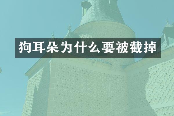 狗耳朵为什么要被截掉