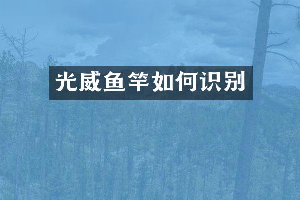 光威鱼竿如何识别