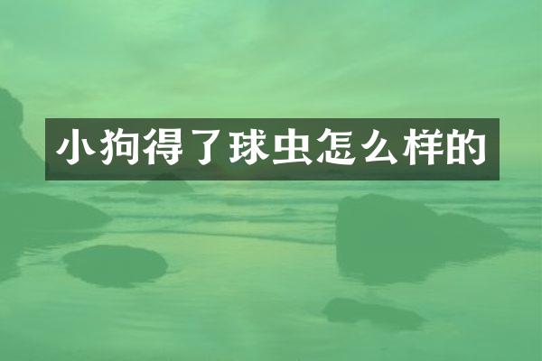 小狗得了球虫怎么样的