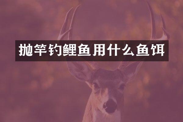 抛竿钓鲤鱼用什么鱼饵