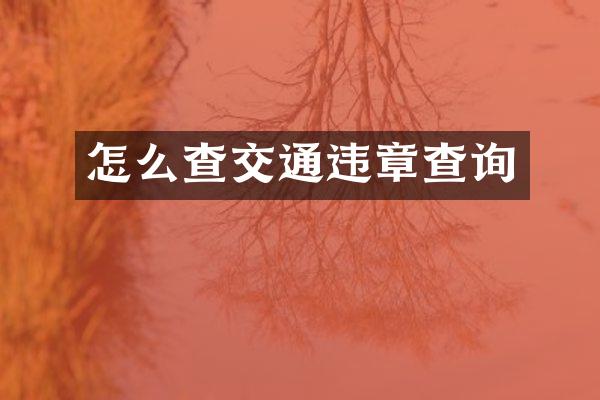 怎么查交通违章查询