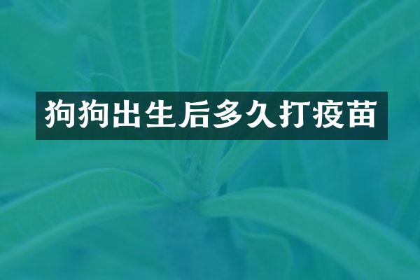 狗狗出生后多久打疫苗