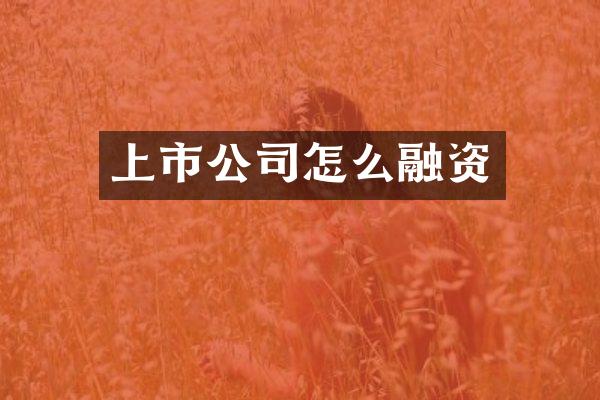上市公司怎么融资