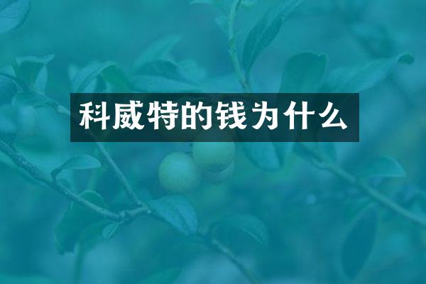 科威特的钱为什么