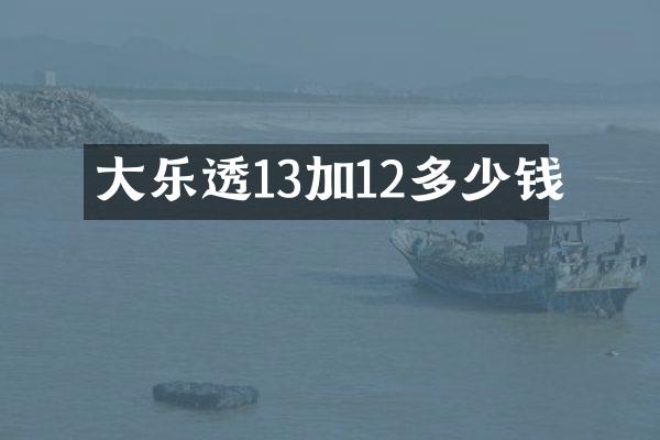 大13加12多少钱