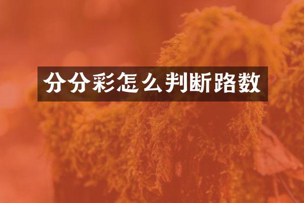 分分彩怎么判断路数