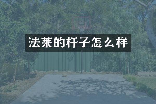 法莱的杆子怎么样