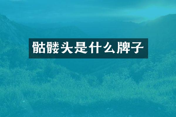 骷髅头是什么牌子