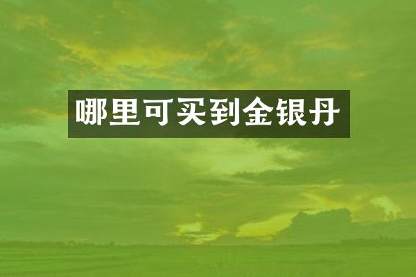 哪里可买到金银丹