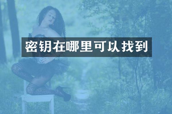 密钥在哪里可以找到