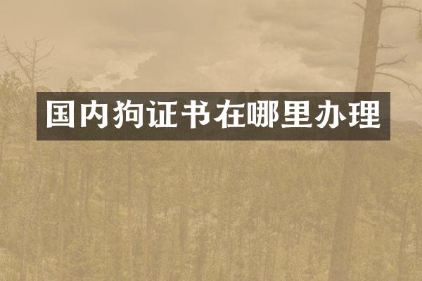 国内狗证书在哪里办理