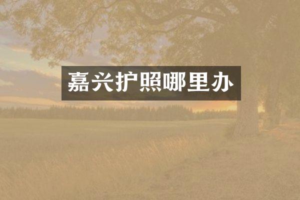 嘉兴护照哪里办