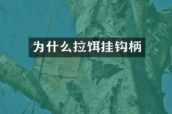 为什么拉饵挂钩柄