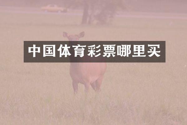 中国体育彩票哪里买
