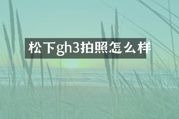 松下gh3拍照怎么样