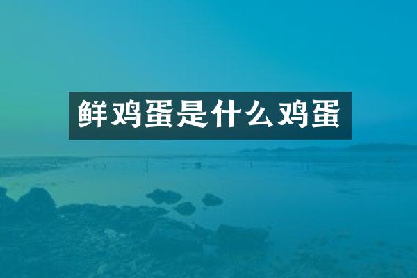 鲜鸡蛋是什么鸡蛋