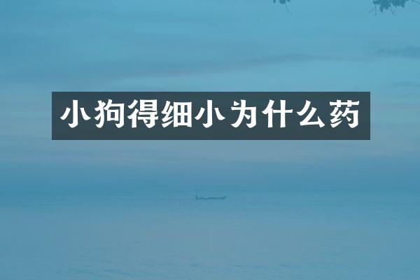 小狗得细小为什么药