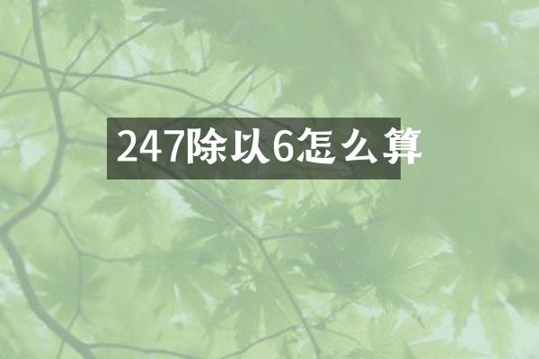 247除以6怎么算