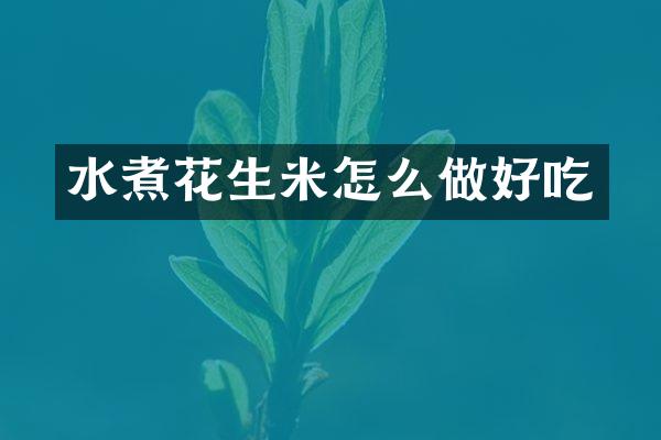 水煮花生米怎么做好吃