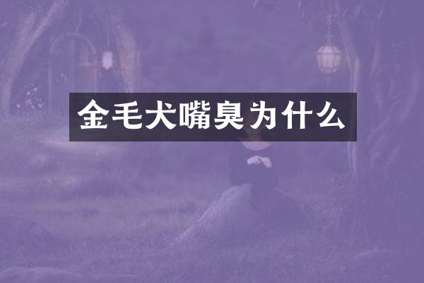 金毛犬嘴臭为什么