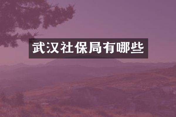 武汉社保局有哪些