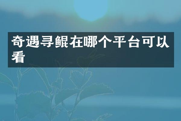 奇遇寻鲲在哪个平台可以看