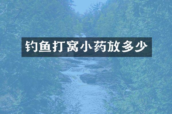 钓鱼打窝小药放多少
