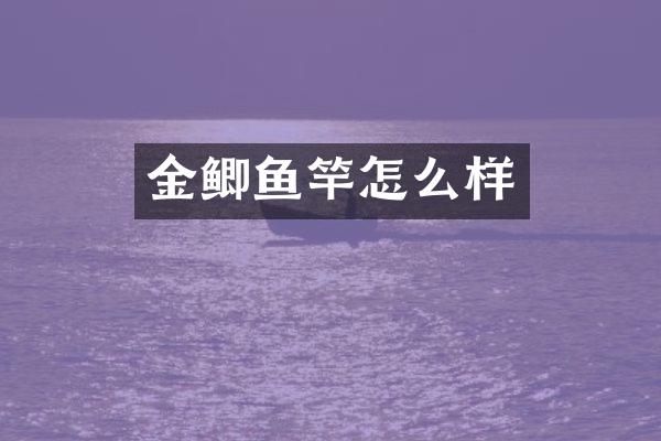 金鲫鱼竿怎么样