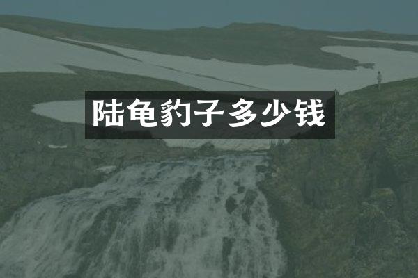 陆龟豹子多少钱
