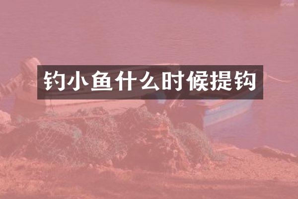 钓小鱼什么时候提钩