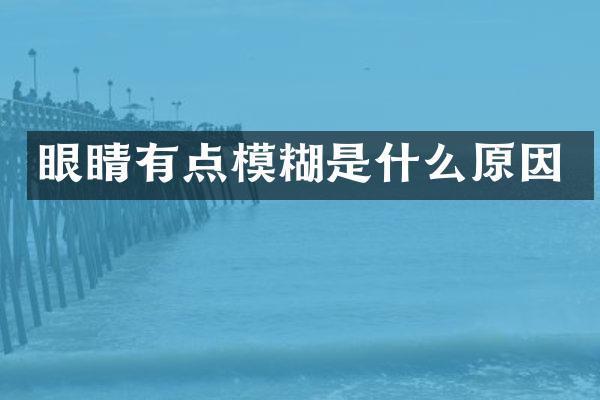 眼睛有点模糊是什么原因