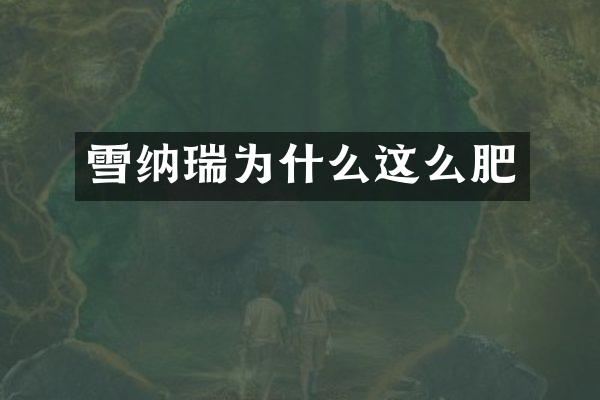 雪纳瑞为什么这么肥