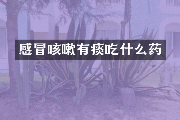 感冒咳嗽有痰吃什么药