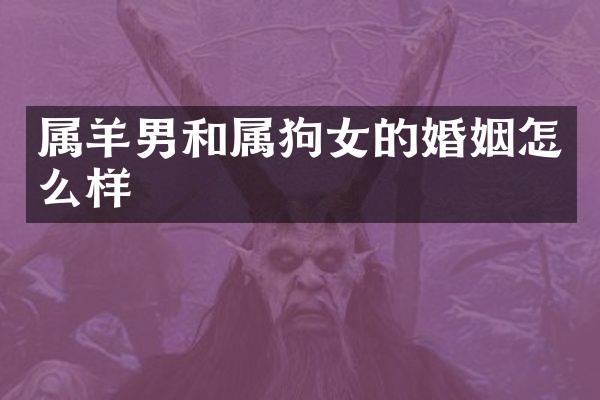 属羊男和属狗女的婚姻怎么样