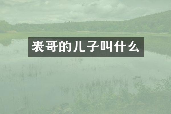 表哥的儿子叫什么