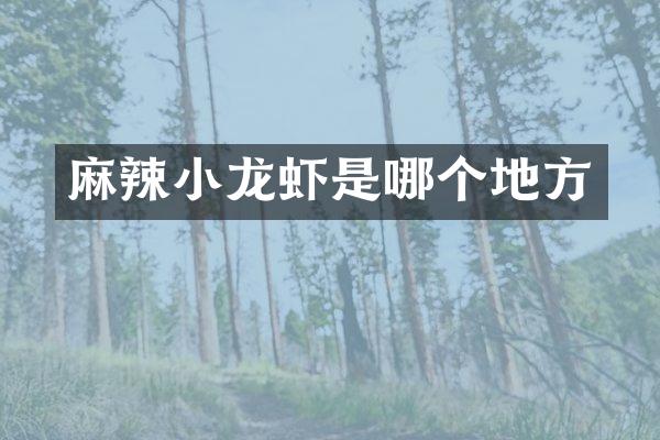 麻辣小龙虾是哪个地方