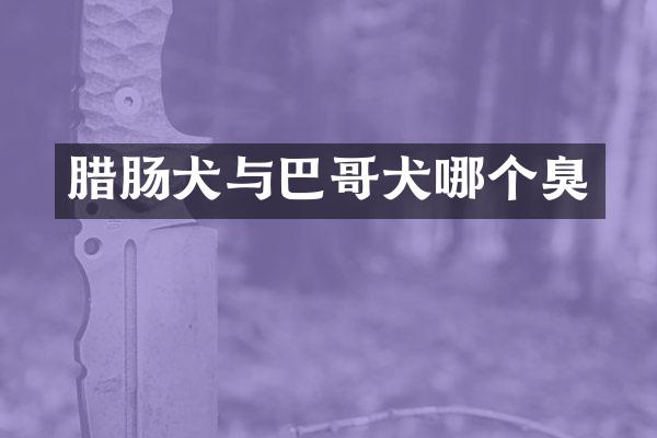 腊肠犬与巴哥犬哪个臭