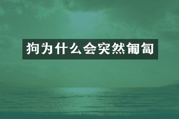 狗为什么会突然匍匐