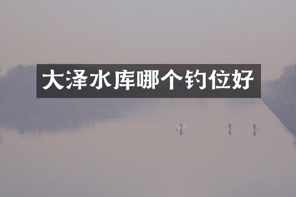 大泽水库哪个钓位好