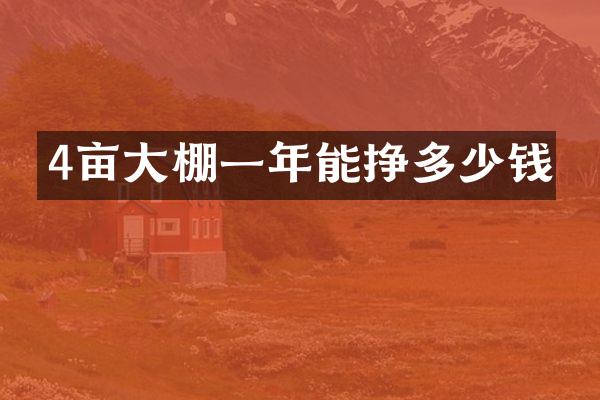 4亩大棚一年能挣多少钱