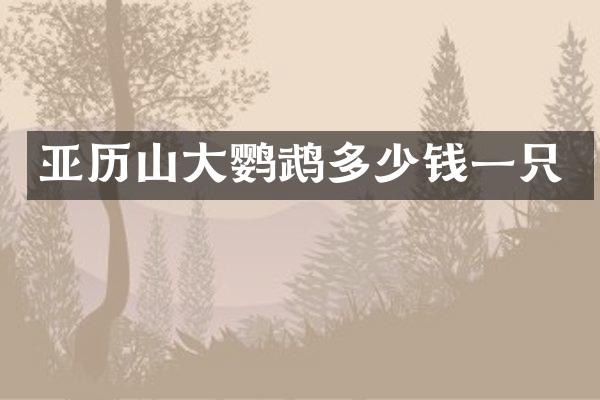 亚历山大鹦鹉多少钱一只