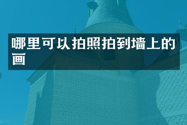 哪里可以拍照拍到墙上的画