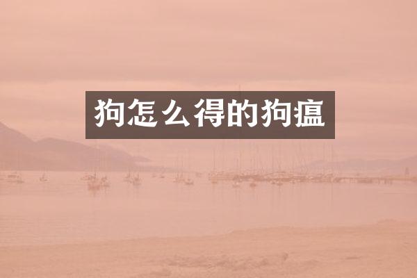 狗怎么得的狗瘟