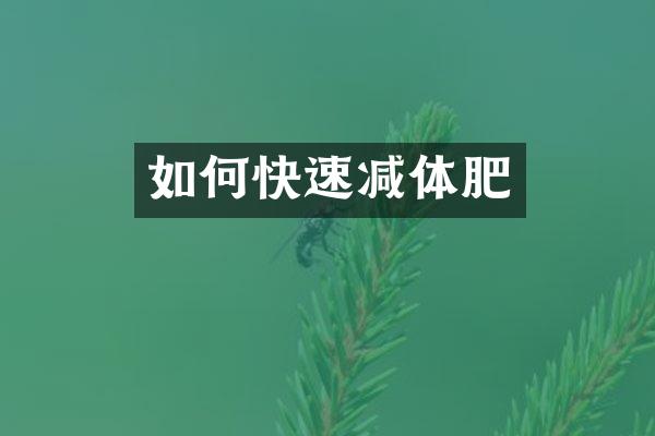 如何快速减体肥