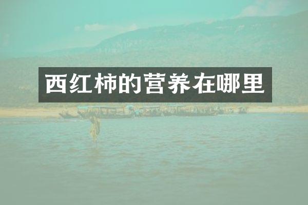 西红柿的营养在哪里