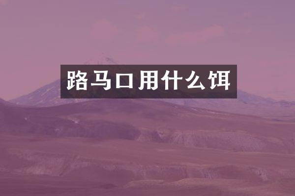 路马口用什么饵