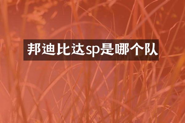 邦迪比达sp是哪个队